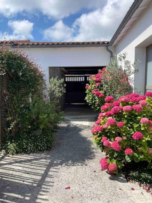 Maison De Vacances La Flotte 00491Ui Екстер'єр фото